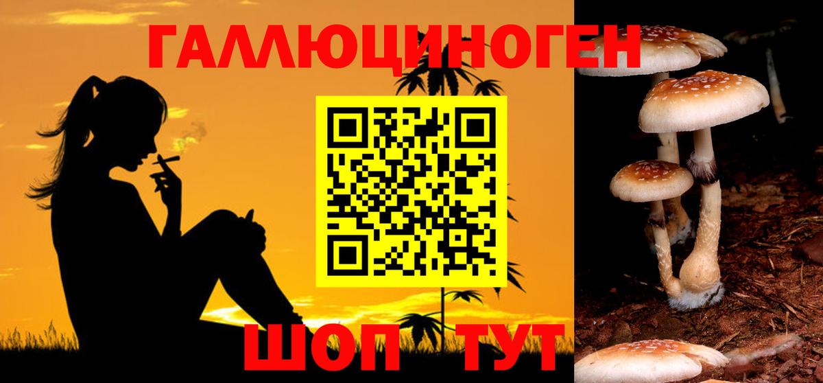 Псилоцибиновые грибы Cubensis Печора