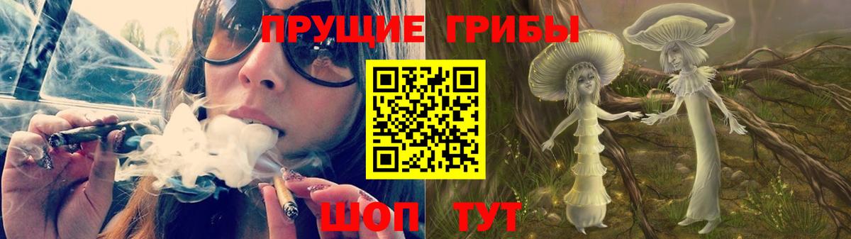Псилоцибиновые грибы Psilocybe  Вход с VPN  Псилоцибиновые грибы MAGIC MUSHROOMS  Печора 